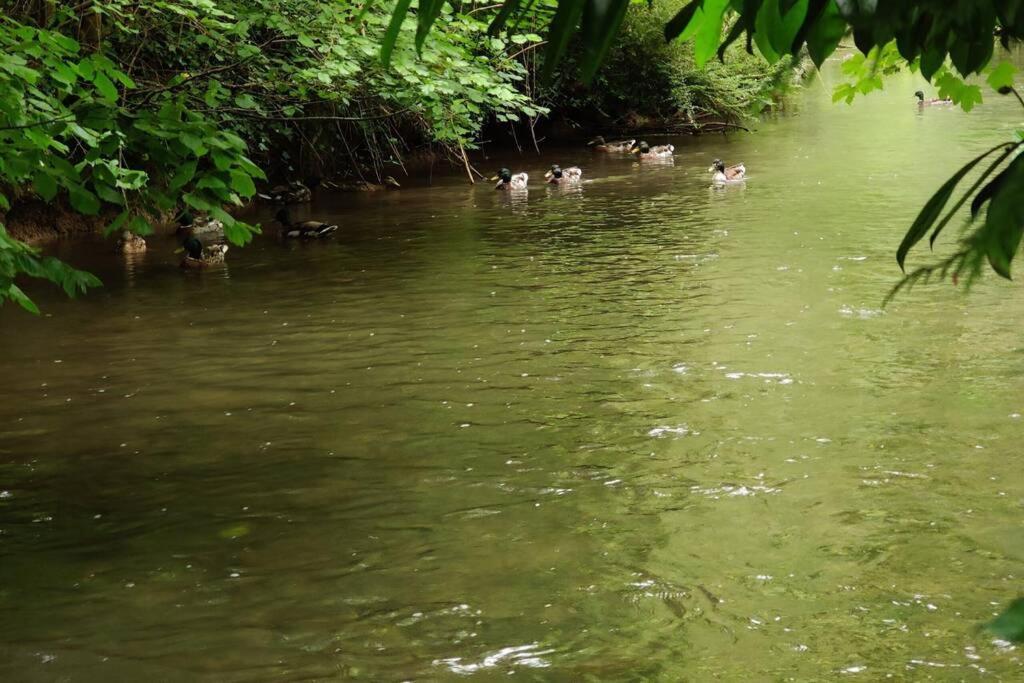 Uw Eigen Boerderij Bij Le Moulin De La Place Hargicourt 外观 照片